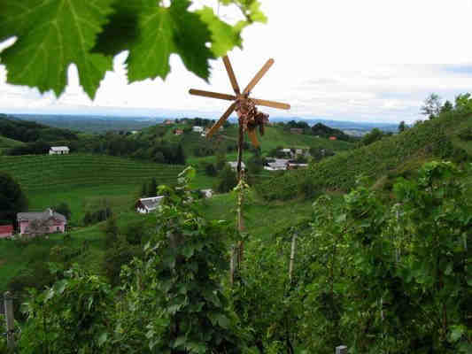 Vinsko turistična cesta