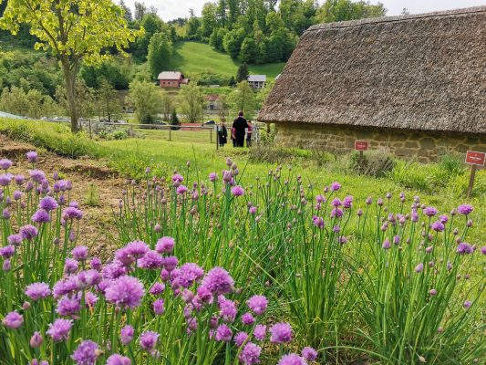 Županova Micka – igra na prostem @ Muzej na prostem Rogatec
