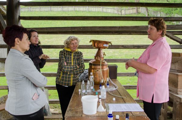 Zeliščarska delavnica – dobrote iz bezgovih cvetov @ Muzej na prostem Rogatec