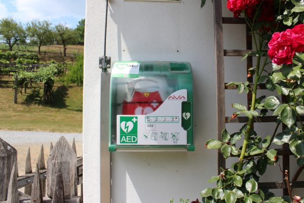 DELAVNICA UPORABE DEFIBRILATORJA @ Grajska pristava Rogatec