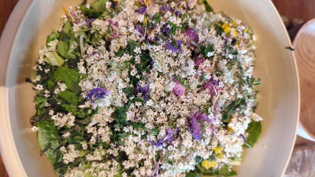 IMG_20260531_140344