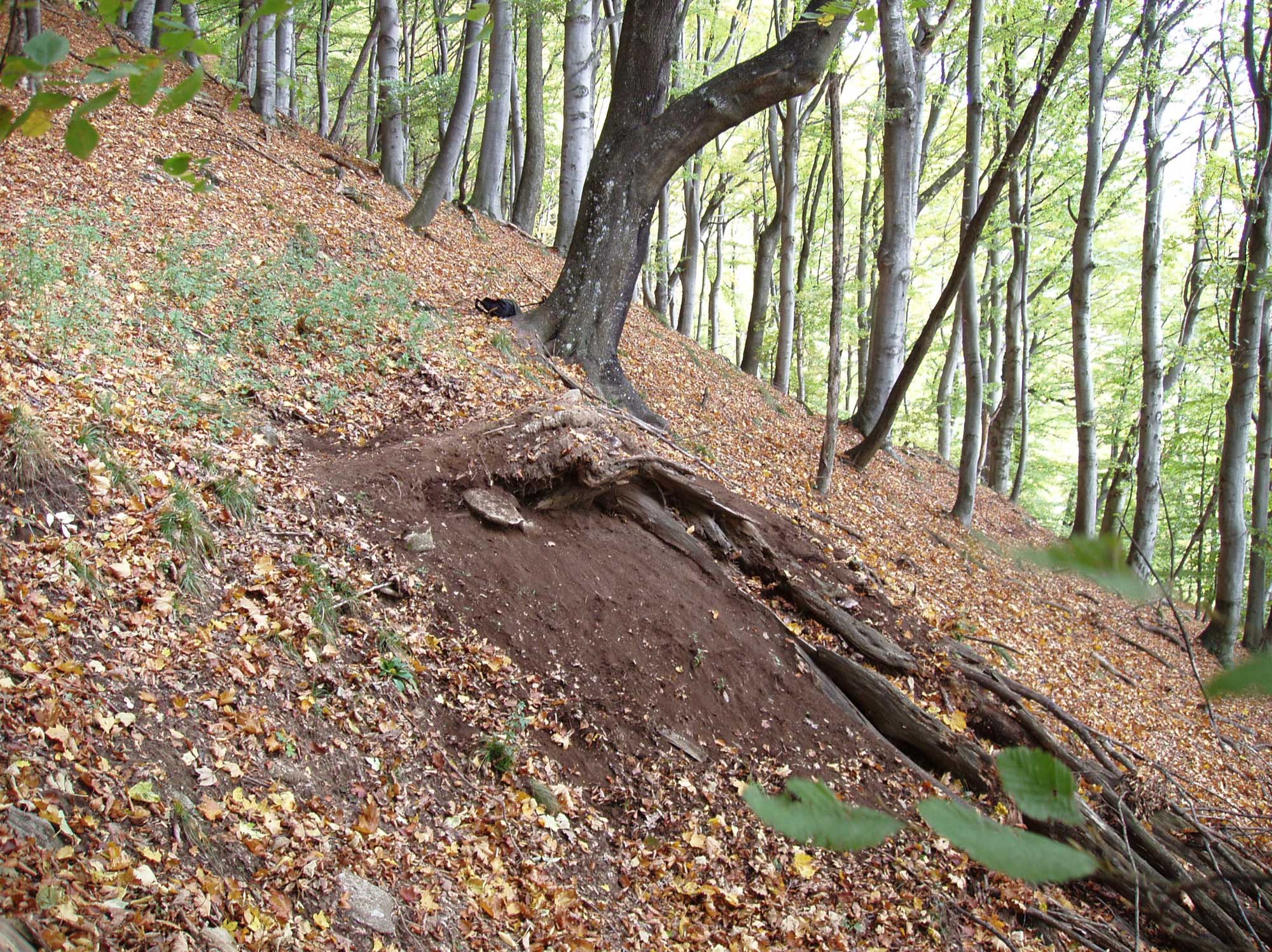 Mesto odkritja prazgodovinske lončenine ob ogledu Dvora 19. 10. 2007.
Pogled proti vzhodu.
