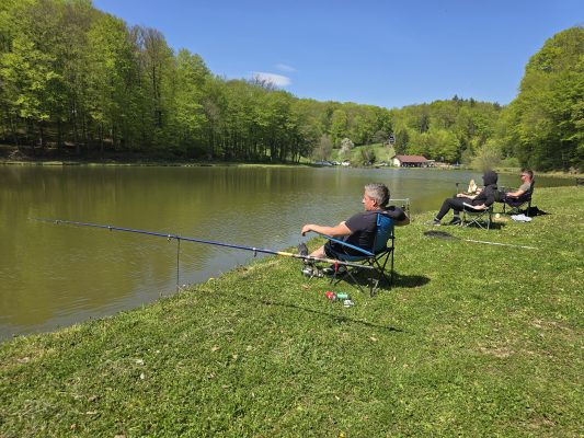 Ribiško člansko tekmovanje s kostanjevim piknikom za vse @ Ribnik Žabnik